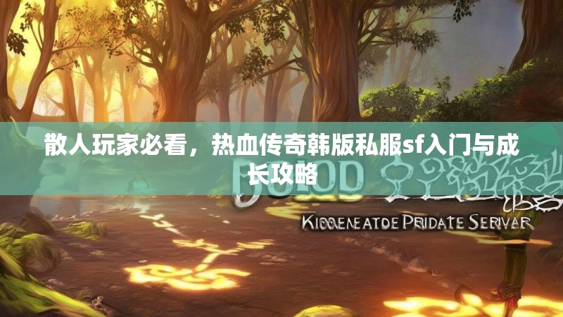 散人玩家必看，热血传奇韩版私服sf入门与成长攻略