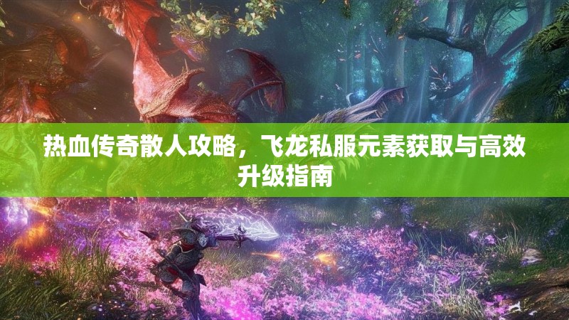 热血传奇散人攻略，飞龙私服元素获取与高效升级指南