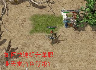如何快速提升单职业天堂角色等级？