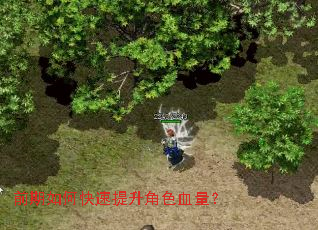 前期如何快速提升角色血量？