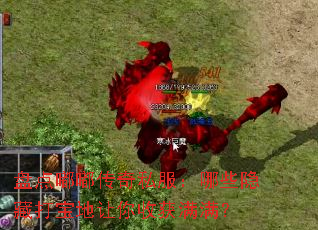 盘点嘟嘟传奇私服：哪些隐藏打宝地让你收获满满？
