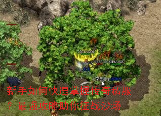 新手如何快速掌握传奇私服？最强攻略助你征战沙场