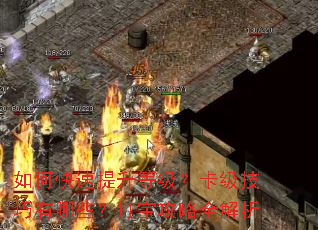 如何快速提升等级？卡级技巧有哪些？打宝攻略全解析