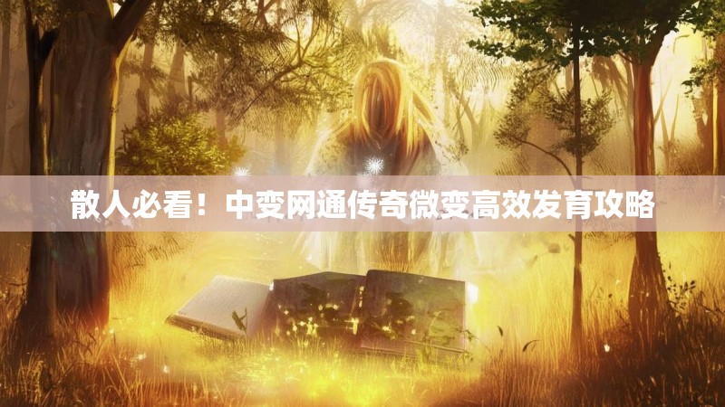散人必看！中变网通传奇微变高效发育攻略