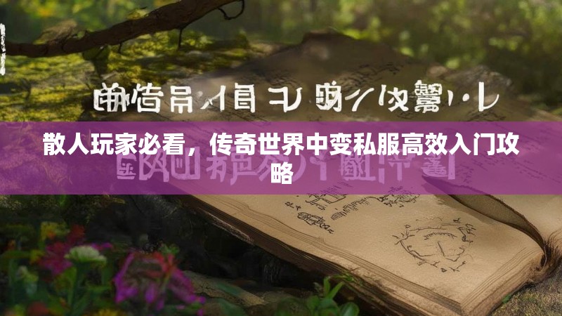 散人玩家必看，传奇世界中变私服高效入门攻略