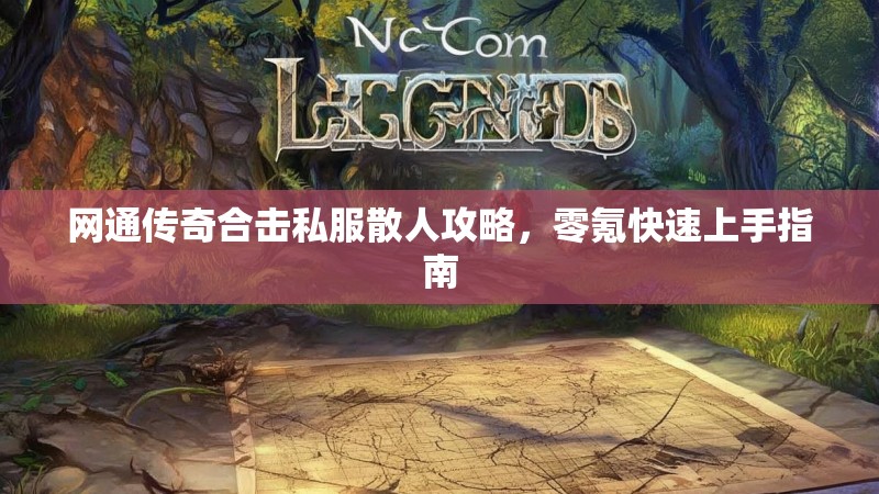 网通传奇合击私服散人攻略，零氪快速上手指南