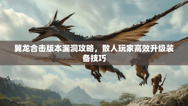 翼龙合击版本漏洞攻略，散人玩家高效升级装备技巧
